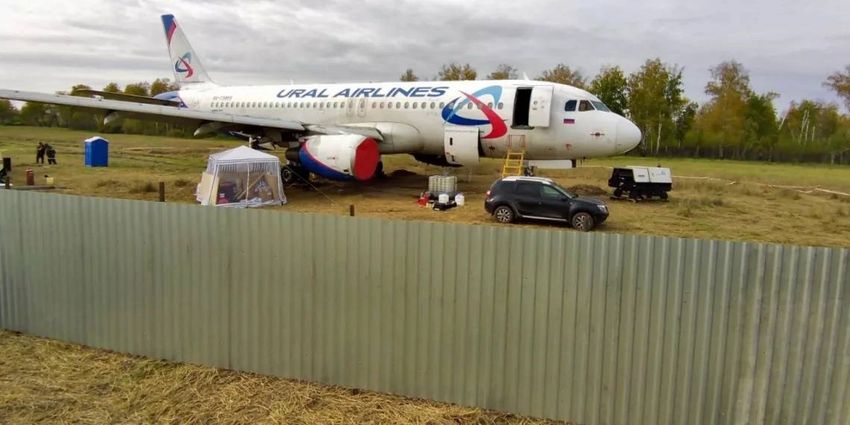 Фото: @shot_shot