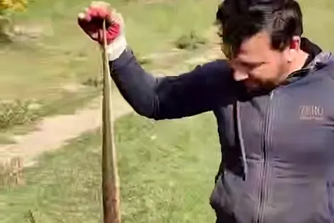 В Дагестане мужчина может получить уголовку за убийство ядовитой гюрзы. Фото: t.me/mash_gor