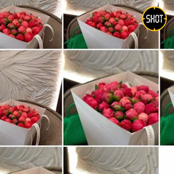 Фото: @shot_shot