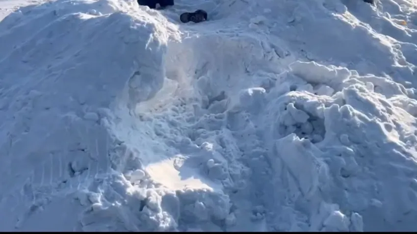 Под Красноярском девочка погибла, копая тоннель в снегу - он обрушился на нее. Фото: соцсети