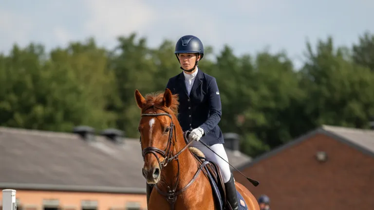 В 2026 году Рыбам можно заняться конным спортом. Фото сгенерировано нейросетью Nano Banana