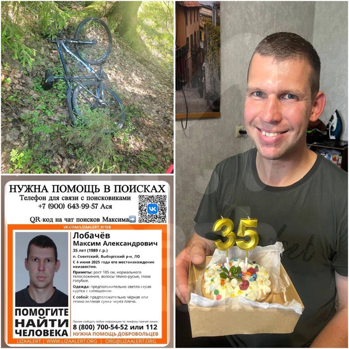 В Ленобласти девушка с ребенком на руках уже месяц ищет в лесу пропавшего брата. Фото: t.me/mashmoyka