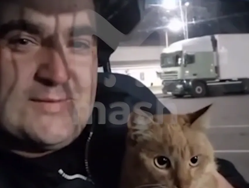 Дальнобойщик развелся с женой из-за потерянного кота, искал его два года и нашел. Фото: @breakingmash