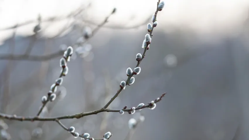 Погода в Москве в марте 2026 года. Фото: freepik.com