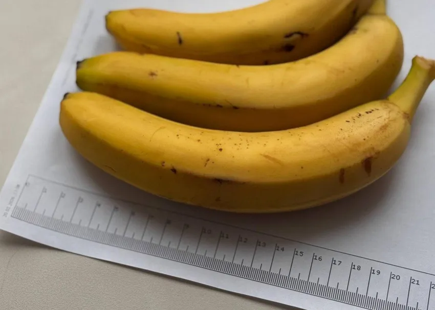 С 1 марта в России запретят продавать бананы длиной менее 14 см. Фото: t.me/mashmoyka