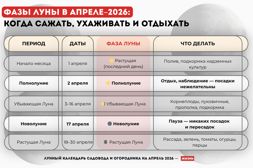 Фазы Луны в апреле 2026 года. Коллаж: Гавришева Анна