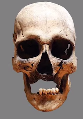 В Челябинской области ученые нашли черепа древних людей и восстановили их лица. Фото: t.me/url_mash