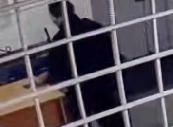 На Камчатке 50-летняя женщина обворовала спящего мужчину прямо в полиции. Фото: t.me/amur_mash