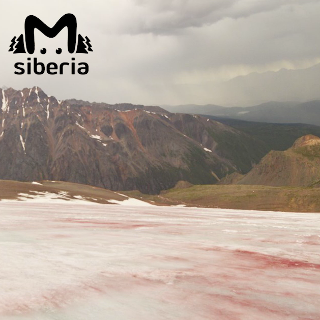 Видео: @mash_siberia