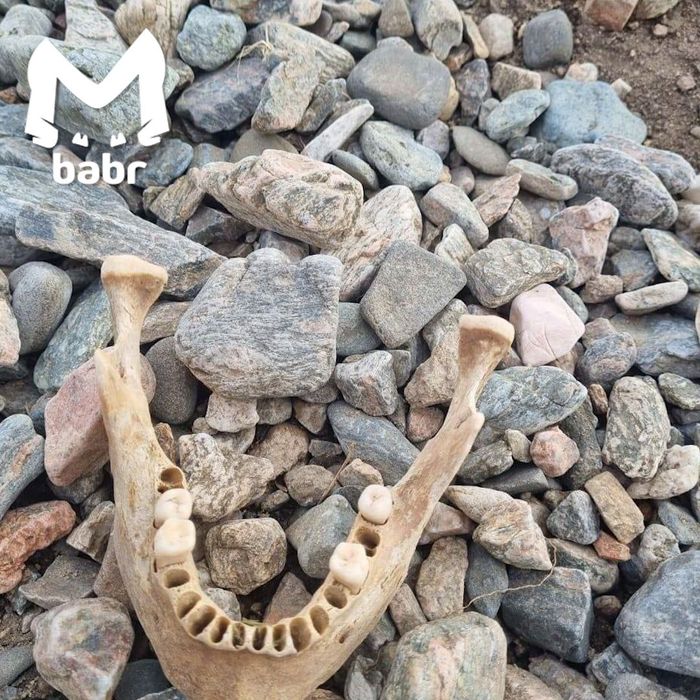 Среди гальки оказался фрагмент челюсти человека. Фото: @t.me/babr_mash