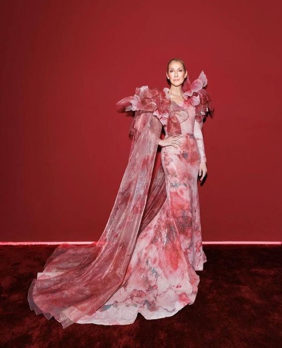 Селин Дион поразила всех. Фото: Инстаграм (запрещен в России)/@eliesaabworld