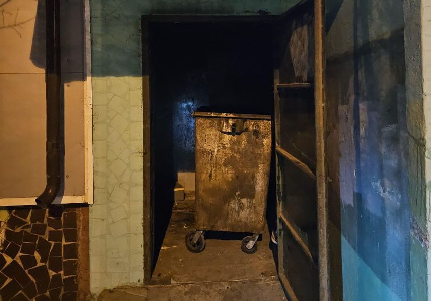 В подмосковном Орехово-Зуево мужчина нашел ребенка в помойном контейнере. Фото: @t.me/mosoblproc