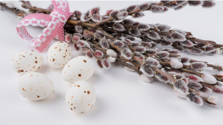 Вербное воскресенье в 2026 году. Фото: freepik.com