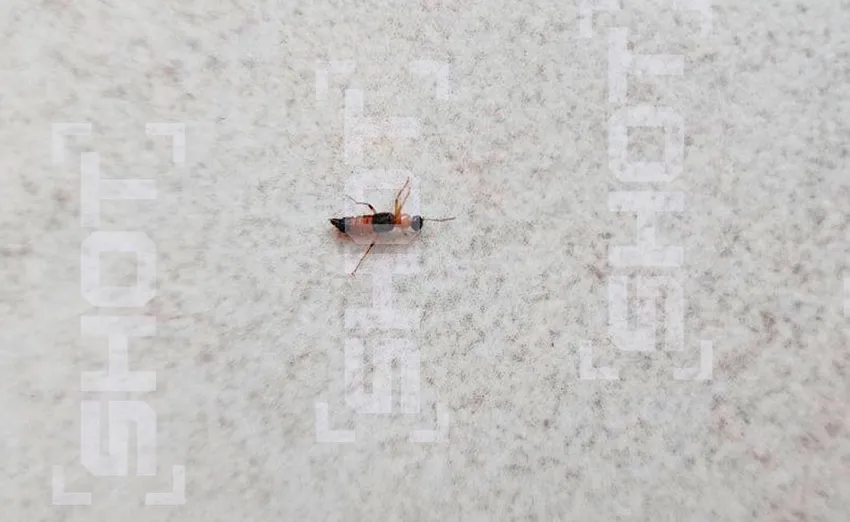 Фото: t.me/shot_shot