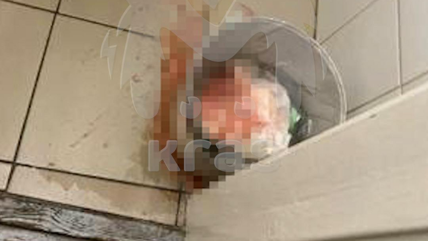 Красноярской студентке, утопившей младенца в туалете, дали 1,5 года колонии. Фото: t.me/kras_mash