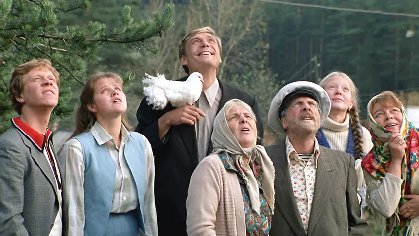 «Любовь и голуби». Фото: кадр из фильма