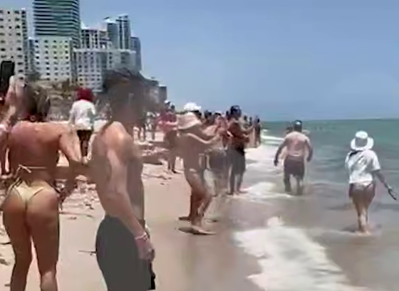 В Майами акула едва не съела 6-летнюю дочь «Миссис пышные формы» из России. Фото: @breakingmash