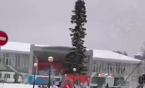 На Кузбассе администрация города установила самую уродливую новогоднюю елку. Фото: t.me/mash_siberia