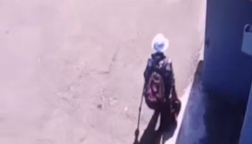 В Амурской области пенсионерка украла у незнакомки сумку с деньгами и дыню. Фото: t.me/amur_mash