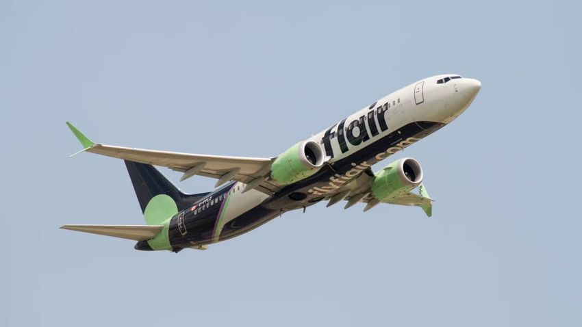 Boeing 737 столкнулся со стаей гусей. Фото: simpleflying.com