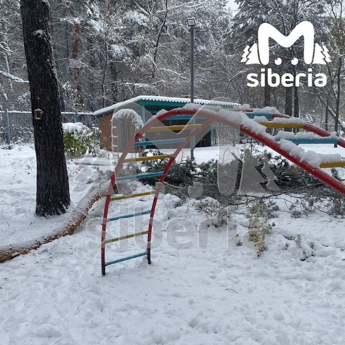 Фото: t.me/mash_siberia