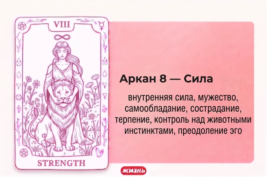 Аркан 8 – Сила. Коллаж: Сорокина Екатерина, фото сгенерировано нейросетью Nano Banana