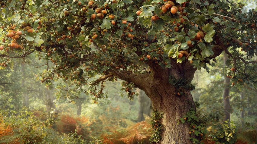 Народные приметы на октябрь. Фото сгенерировано нейросетью Midjourney