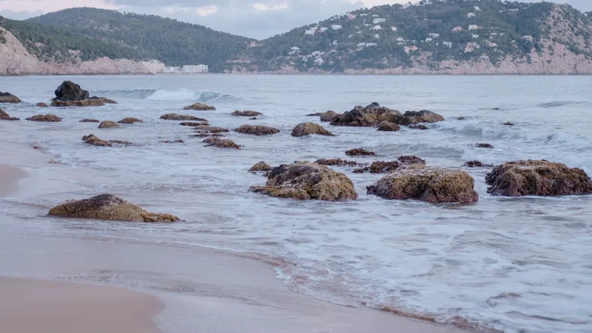 Юг России в марте 2026 года. Фото: freepik.com