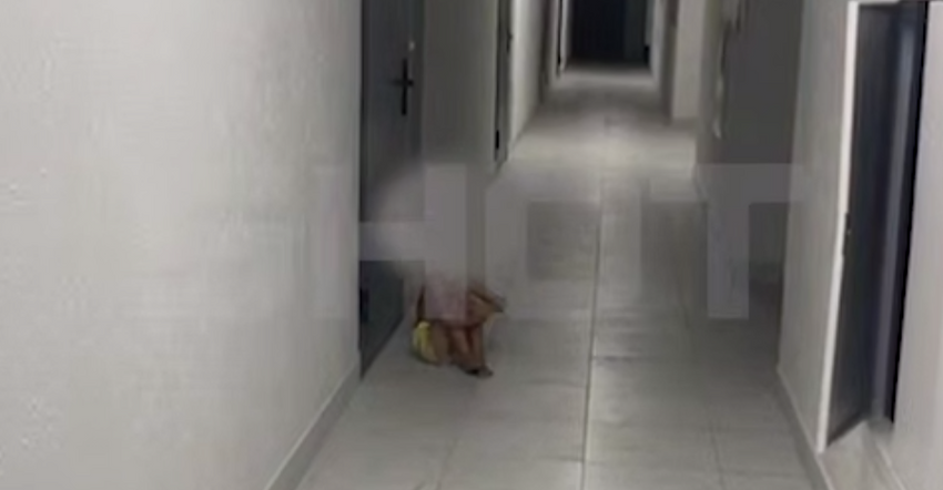 В Краснодаре соседи спасли трехлетнюю девочку, которую мать оставила дома одну. Фото: t.me/shot_shot