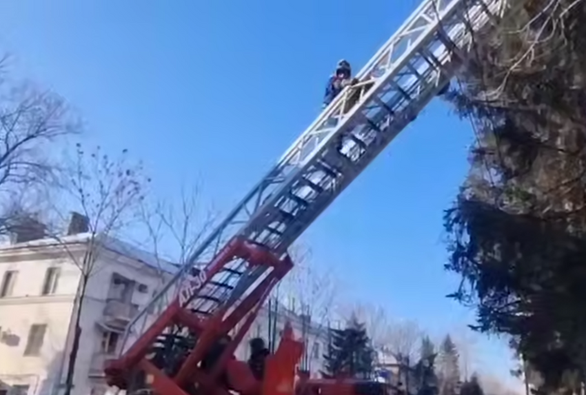 В Приморье хозяин на 2 дня запер собаку на балконе в мороз, ее достали спасатели. Фото: t.me/amur_mash