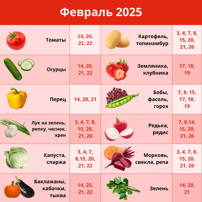 Коллаж: Полина Кравченко