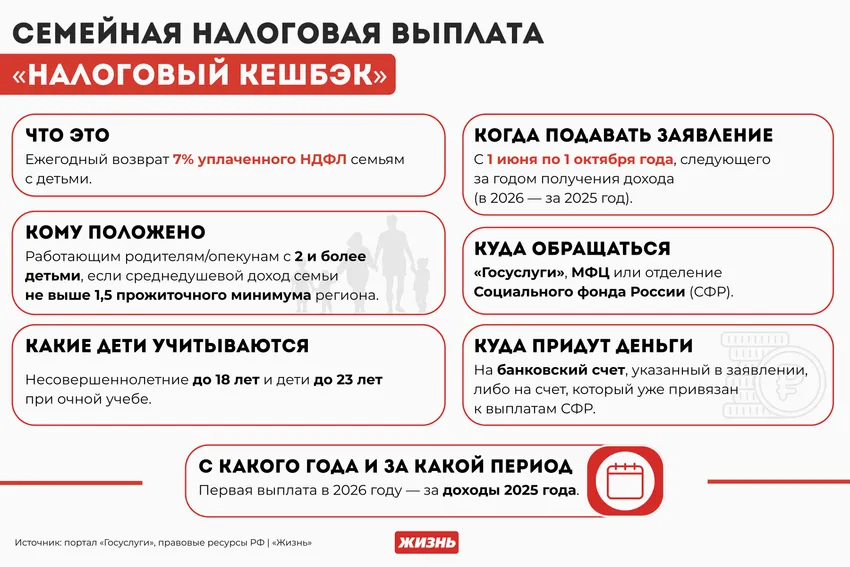 Семейная налоговая выплата с 1 июня 2026 года. Коллаж: Гавришева Анна