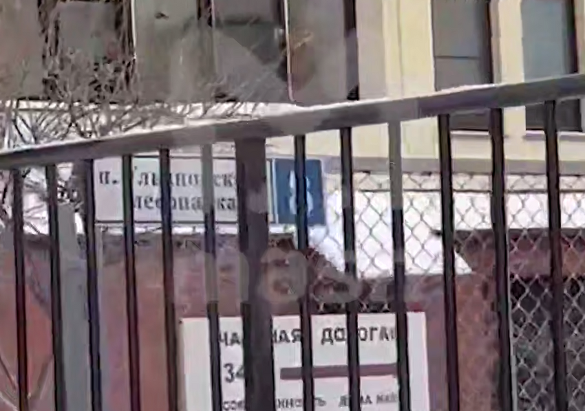 В Новой Москве пенсионер устроил пальбу из ружья из-за галлюцинаций. Фото: @t.me/mash