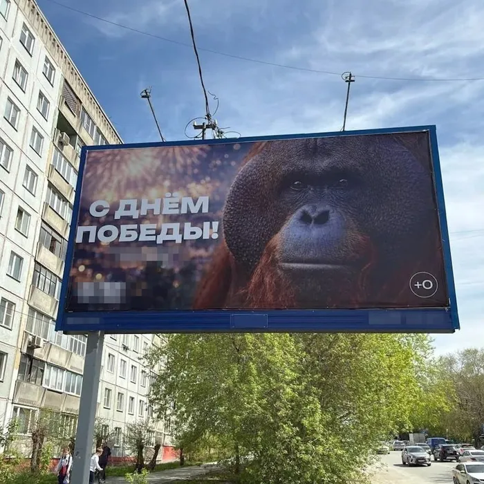 Новосибирский зоопарк разместил на банере ко Дню Победы орангутана Бату. Фото: @breakingmash