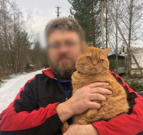 Под Питером диабетик истек кровью и умер из-за кошачьей царапины. Фото: t.me/mashmoyka