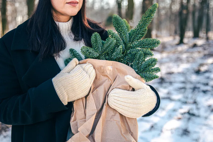 Что можно и нельзя делать в огороде в декабре. Фото: freepik.com