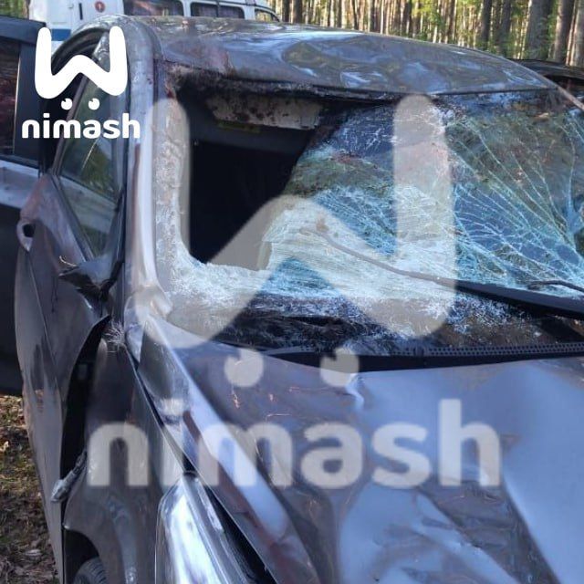 Фото: @mash_nimash