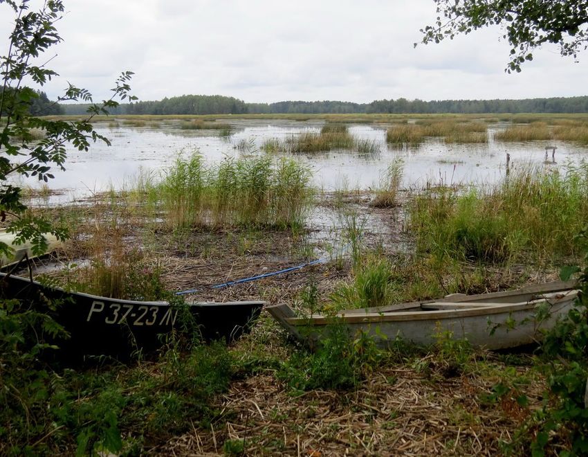 Петербурженка убила и утопила в озере бойца СВО, заставшего ее с любовником. Фото: @bazabazon