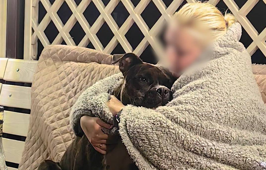 В Москве собачницу оштрафовали на 1,5 тыс за то, что она не убрала мочу питомца. Фото: @breakingmash