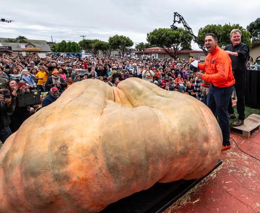 Джинджер и тыква проехали ради победы 3 тысячи километров. Фото: Фейсбук (запрещён в РФ) / @Travis's Pumpkins