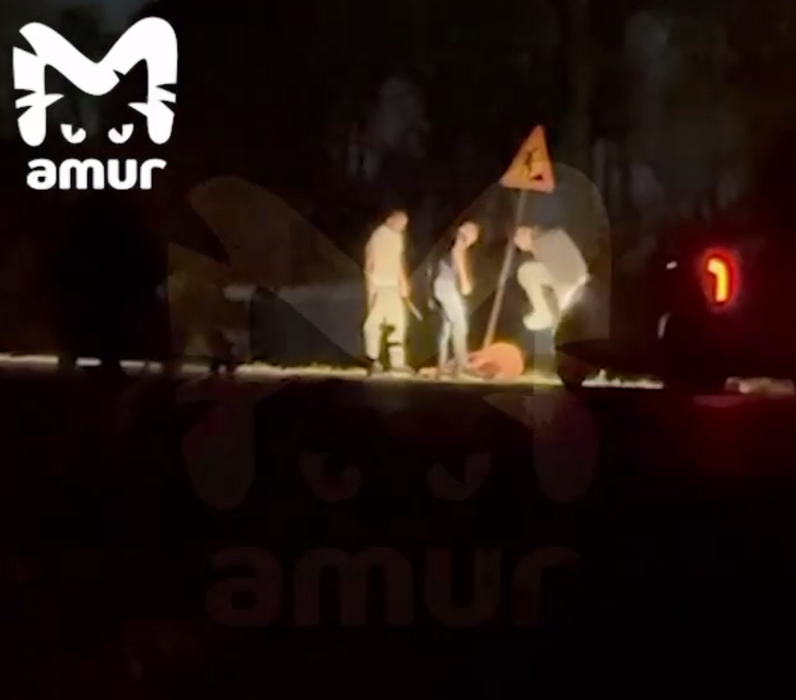 Несколько человек успокаивали Вислобокова ногами. Фото: @t.me/amur_mash