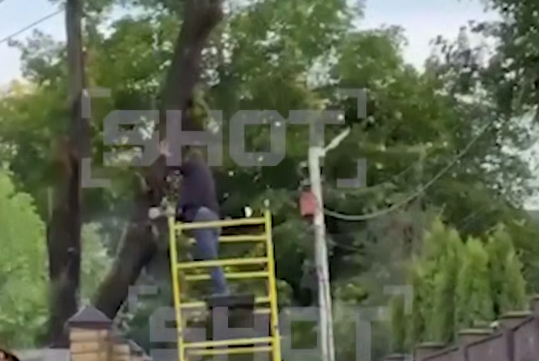 В Домодедово дерево упало на мужчину, который сам решил его спилить. Фото: t.me/shot_shot