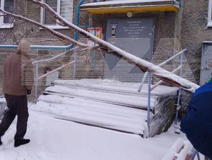 Завтра Москву накроет мощный снегопад — выпадет до трети месячной нормы осадков. Фото: t.me/bazabazon