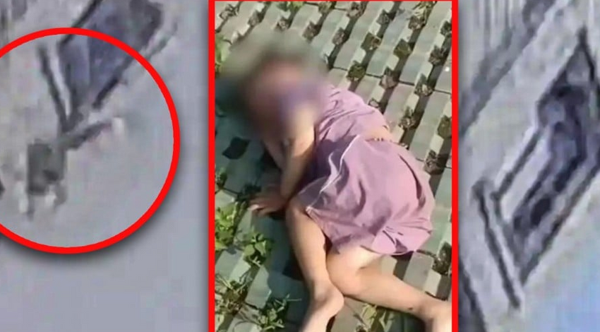 В Китае трехлетний мальчик выпал из окна 18 этажа и выжил, благодаря дереву. Фото: scmp.com