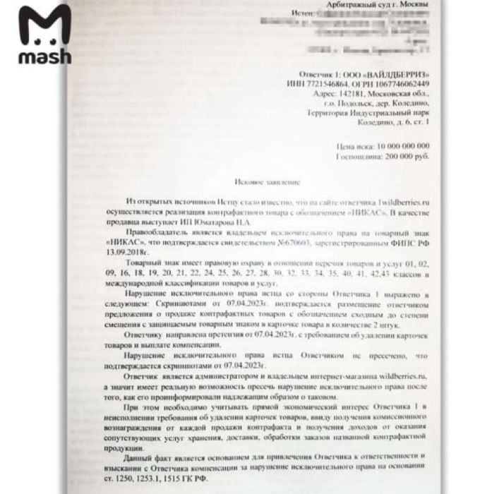 Иск Никаса Сафронова. Фото: телеграм-канал Mash