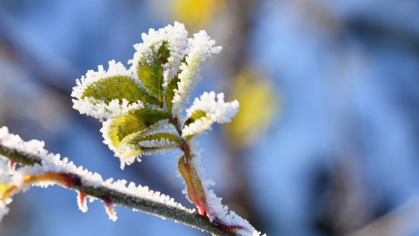 Погода в Санкт-Петербурге в марте 2026 года. Фото: freepik.com