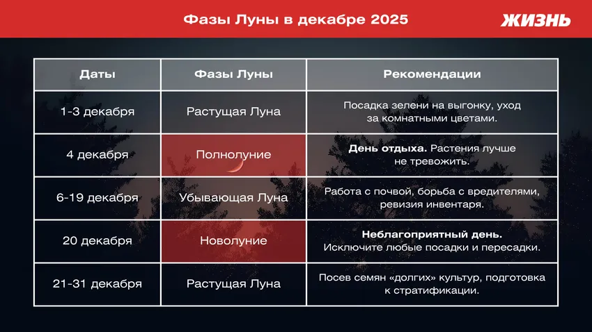 Таблица фаз Луны в декабре 2025 года. КОЛЛАЖ: ПОЛИНА КРАВЧЕНКО