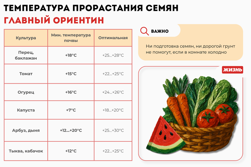 Температура прорастания семян. Коллаж: Гавришева Анна