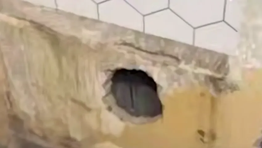 В Челнах пара пробила потолок и вытащили из вентиляции кота, сидящего там неделю. Фото: t.me/mash_iptash