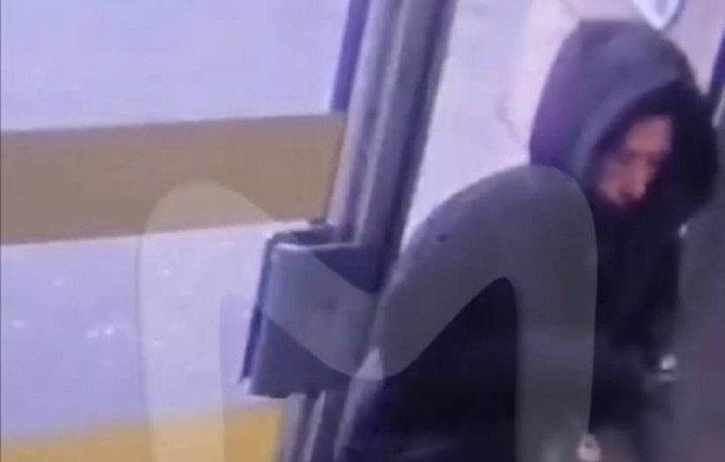 Фото: @t.me/mashmoyka